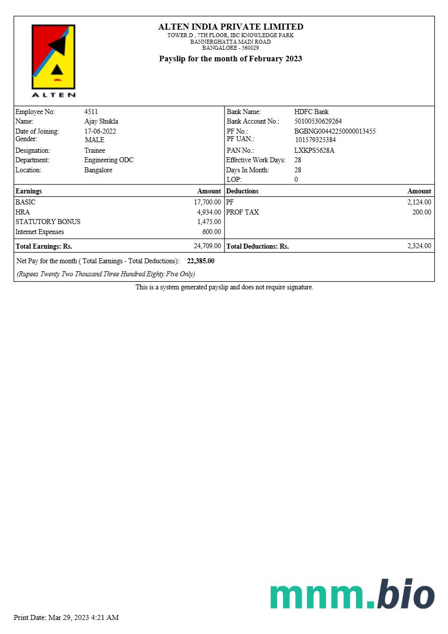 Szablon odcinka wypłaty Alten India w formatach Word i PDF, 2